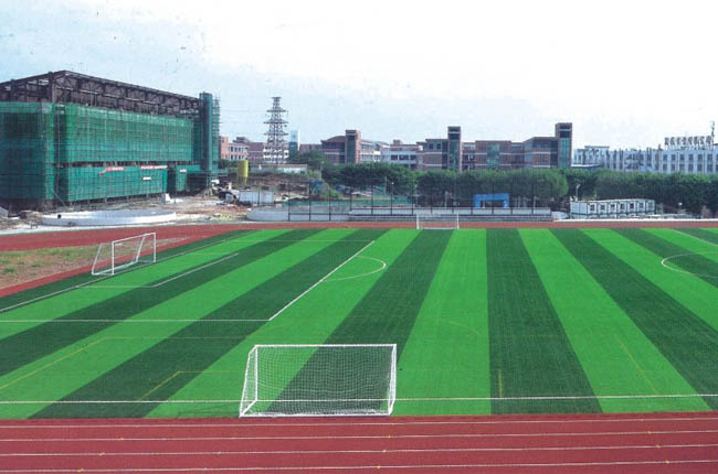 東莞石龍?bào)w育館工程 東莞石龍?bào)w育館工程